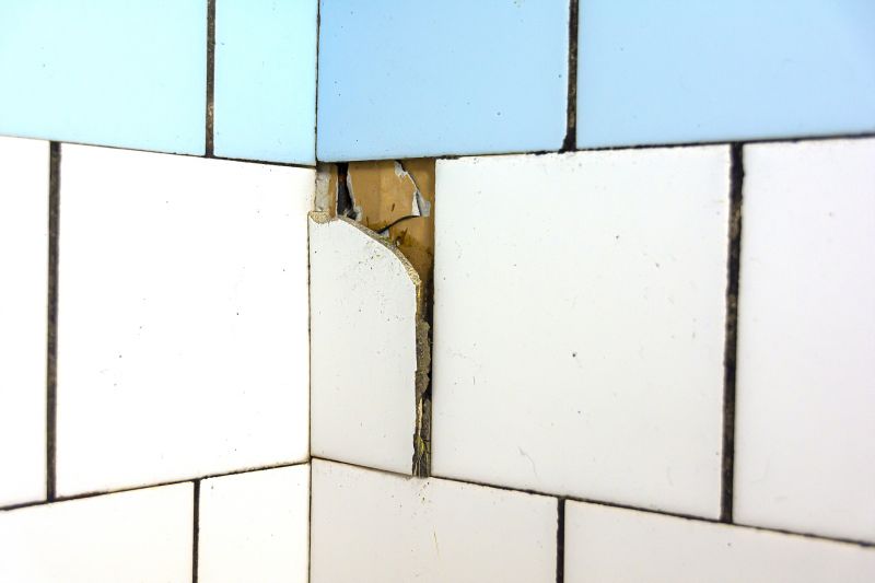 Inside Tile Repair